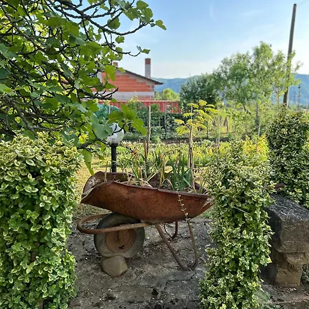 Apartman Jame Buzet