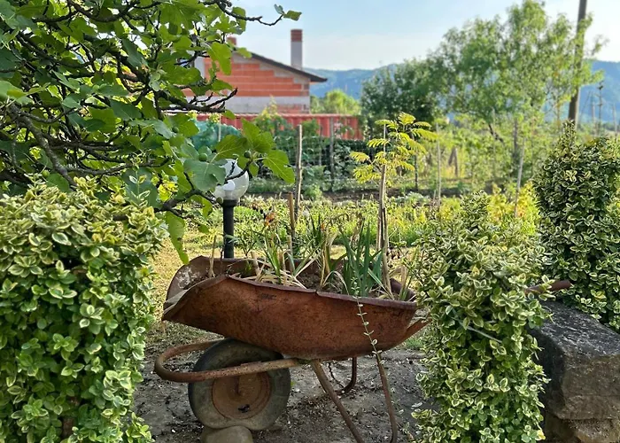 Appartement Jame Buzet